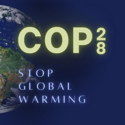 COP28: Key points that will dominate the global climate talks